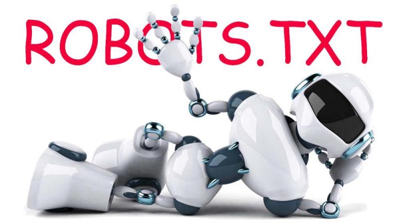 Что такое robots.txt и зачем он нужен в Москве